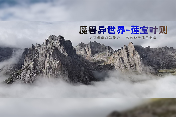 莲宝业泽