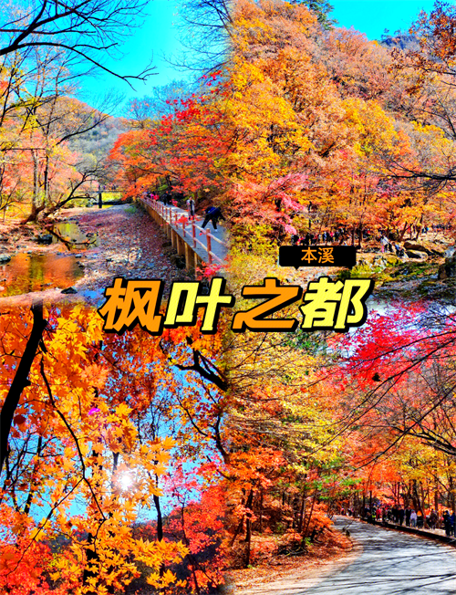 微信图片_20260920112318_827_48.png