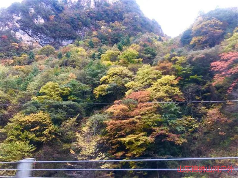 u=3331749629,4050347006&fm=253&fmt=auto&app=138&f=JPEG.jpg