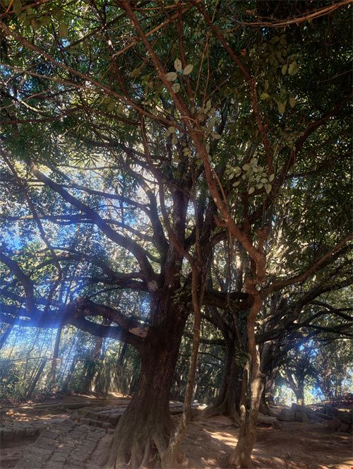 微信图片_20260107101024_693_21.jpg
