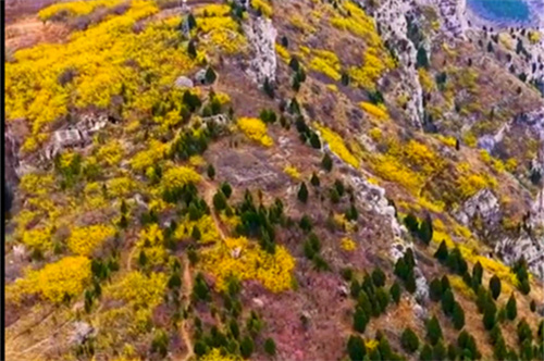 1775616706519699.jpg Screenshot_2026-04-08-10-32-03-38_e39d2c7de19156b.jpg