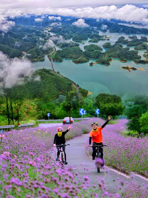 1775717678167483.jpg 1775717142508.jpg