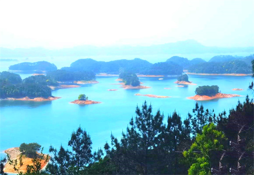 1775718373299088.jpg 1775709041630.jpg